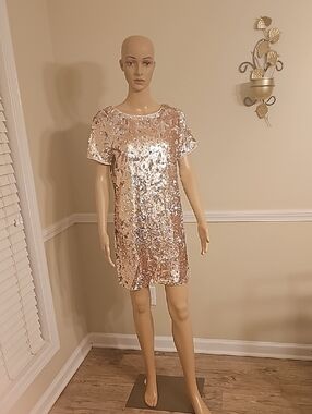 forever 21 sequin dress rose gold Plus Size Sequin Beaded Maxi Dress PETAL PINK / 3X main image 1